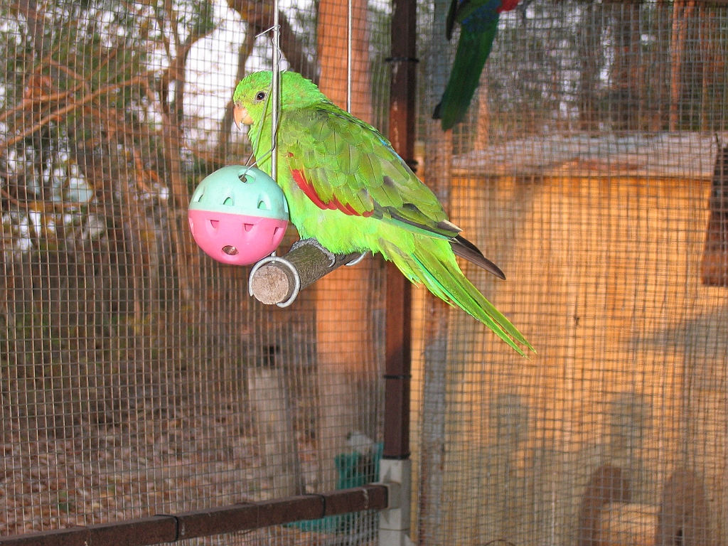 CairnsTC152 Granite Gorge.jpg